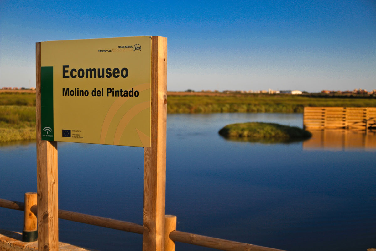 Ecomuseo Molino Mareal El Pintado - Medio Ambiente