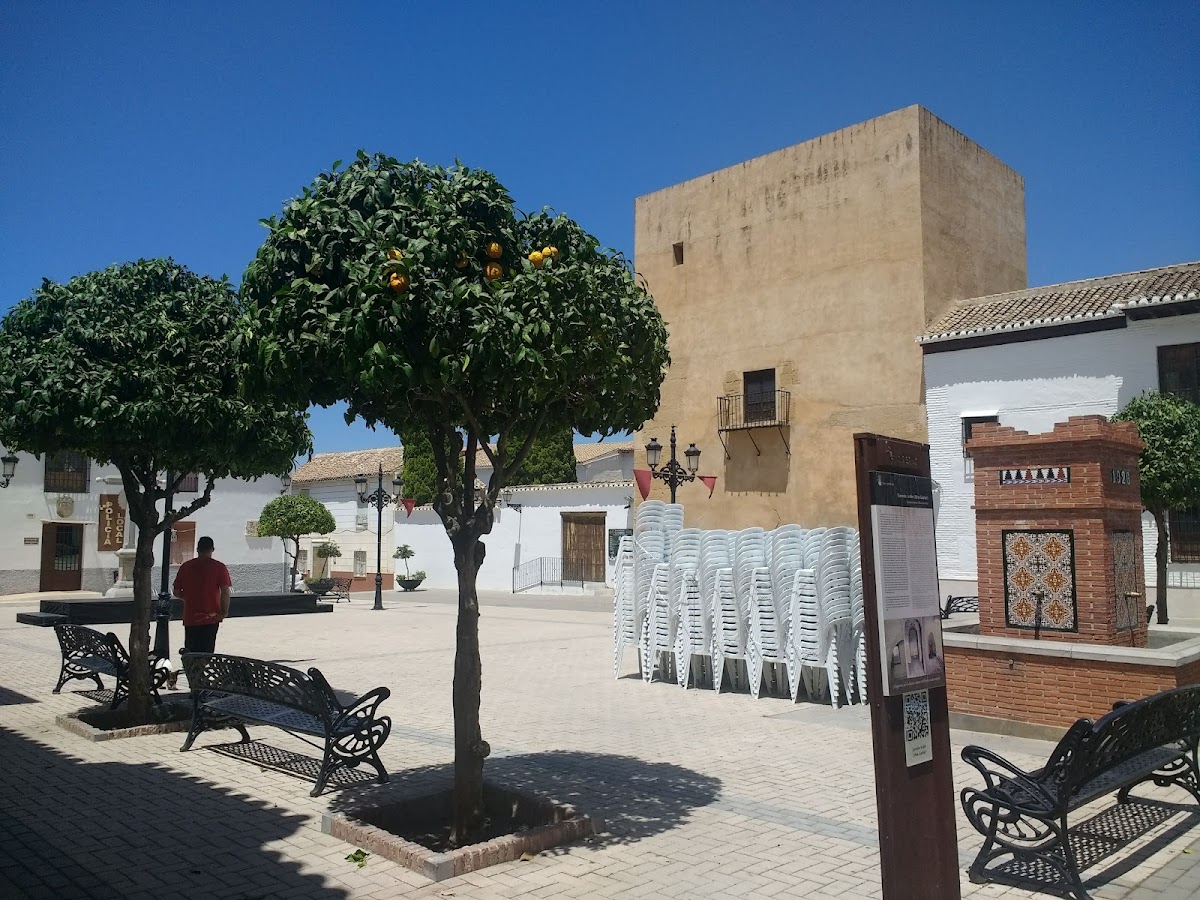 El TORREÓN LAS GABIAS