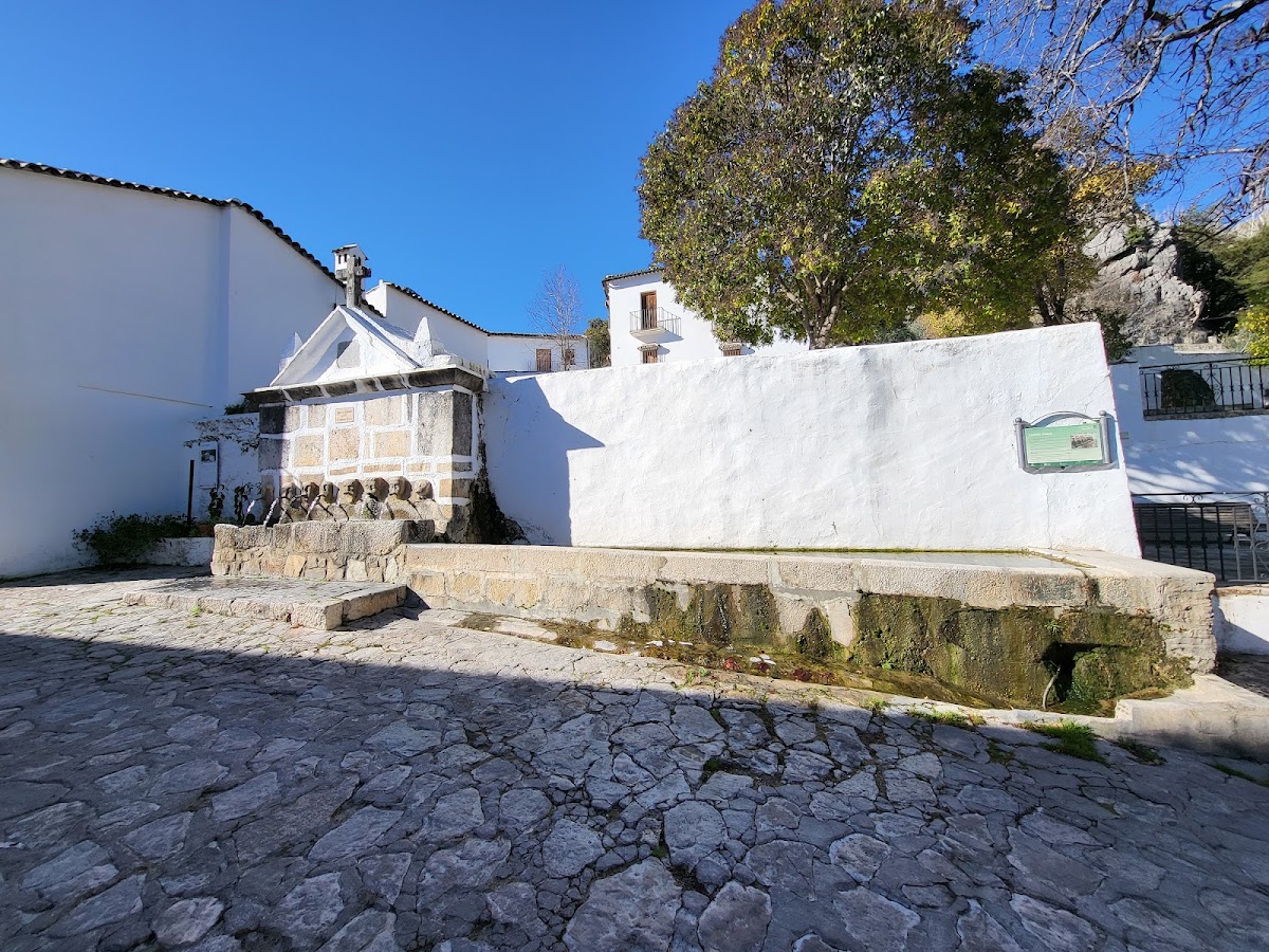 FUENTE ABAJO, GRAZALEMA