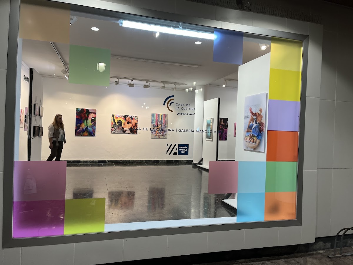 Galería Manolo Alés