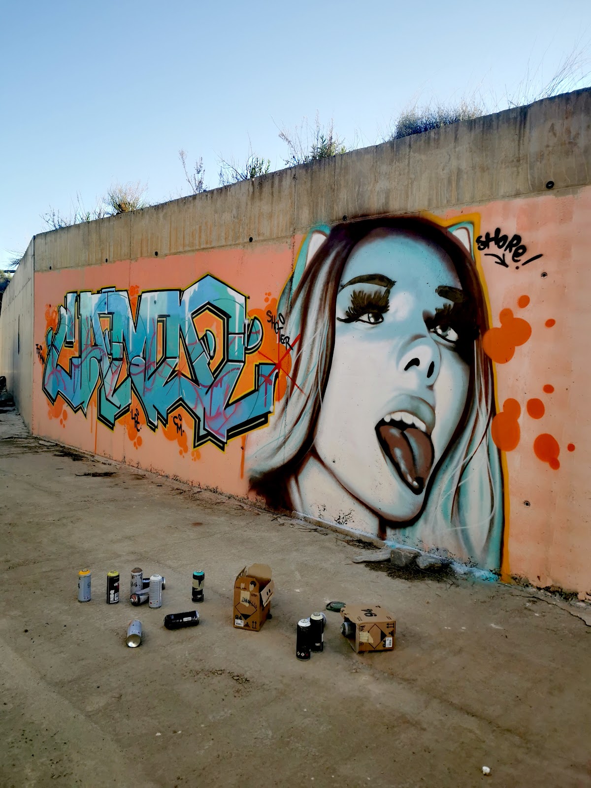 Hall of fame Graffiti Almanzora