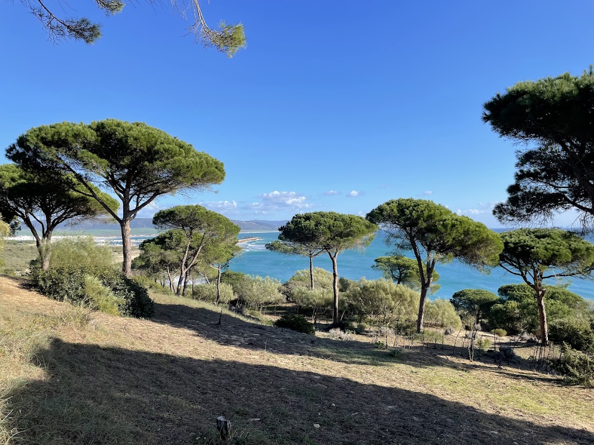 La Breña y Marismas del Barbate Natural Park