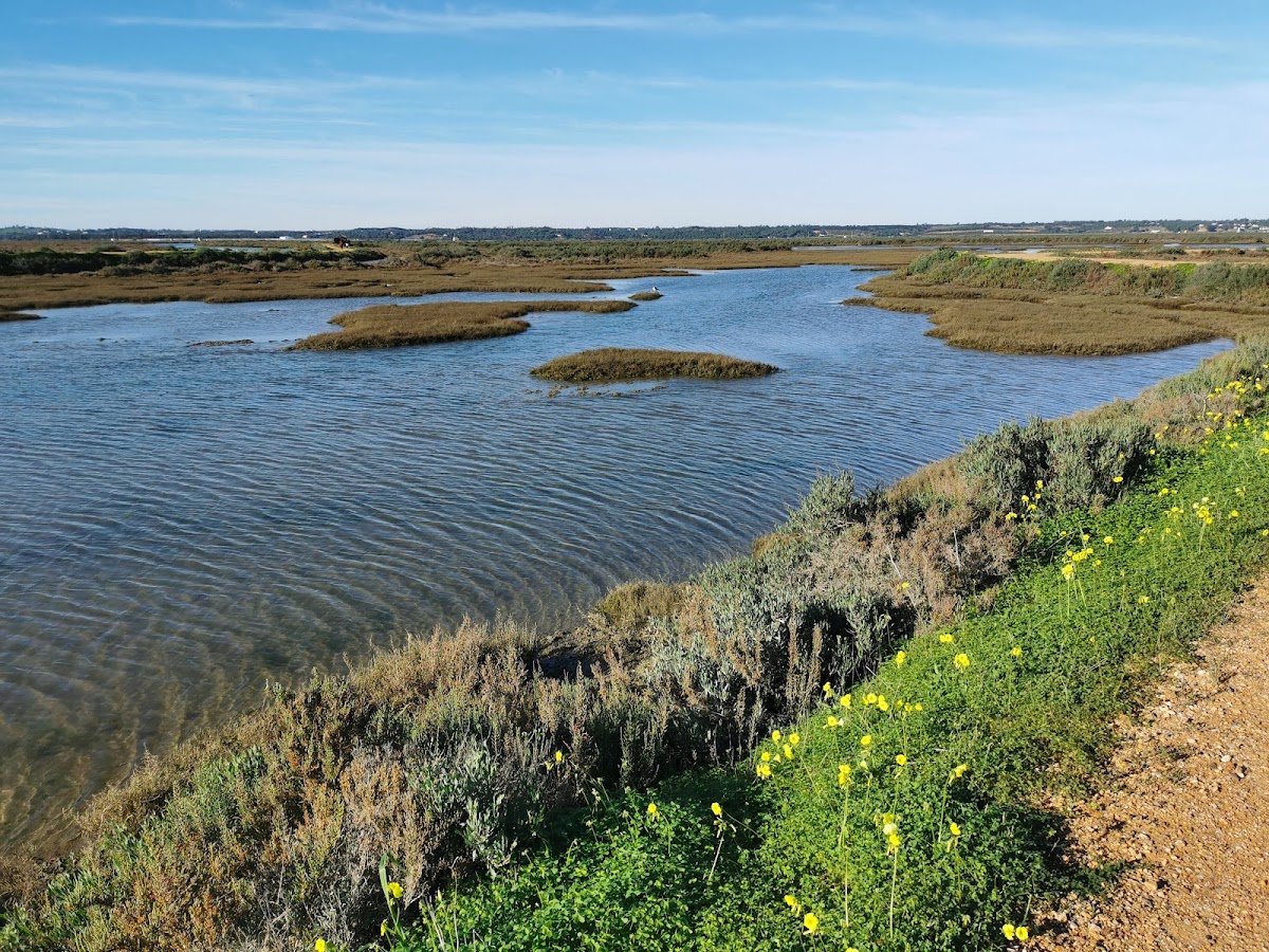 Marismas de Isla Cristina