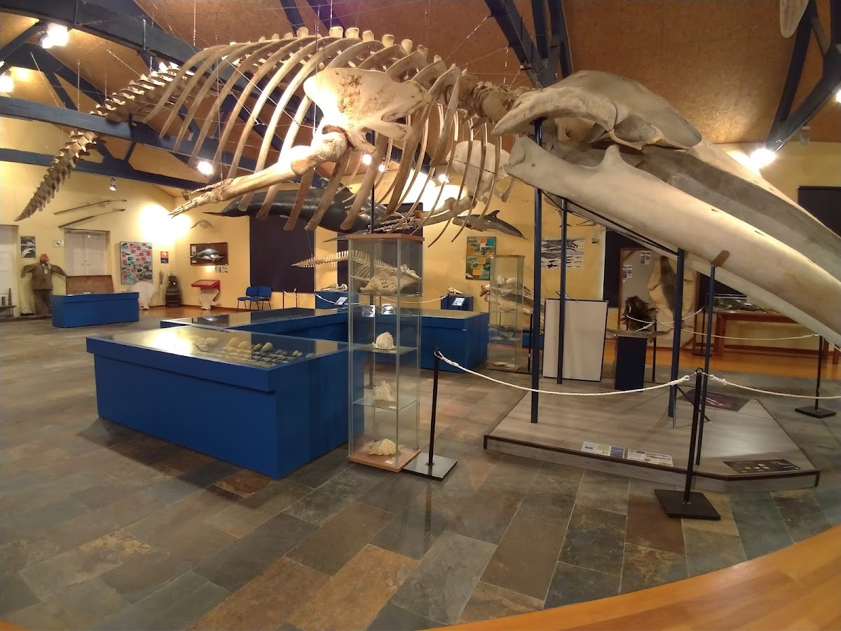 Museo De Historia Natural