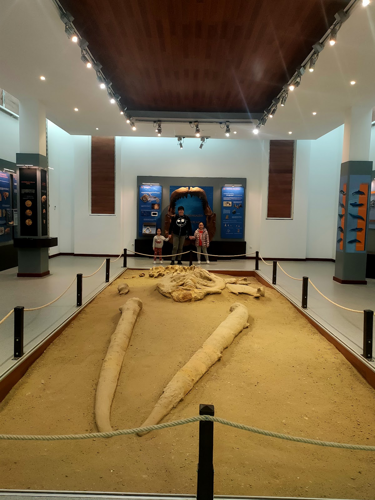 Museo Paleontológico de La Ballena