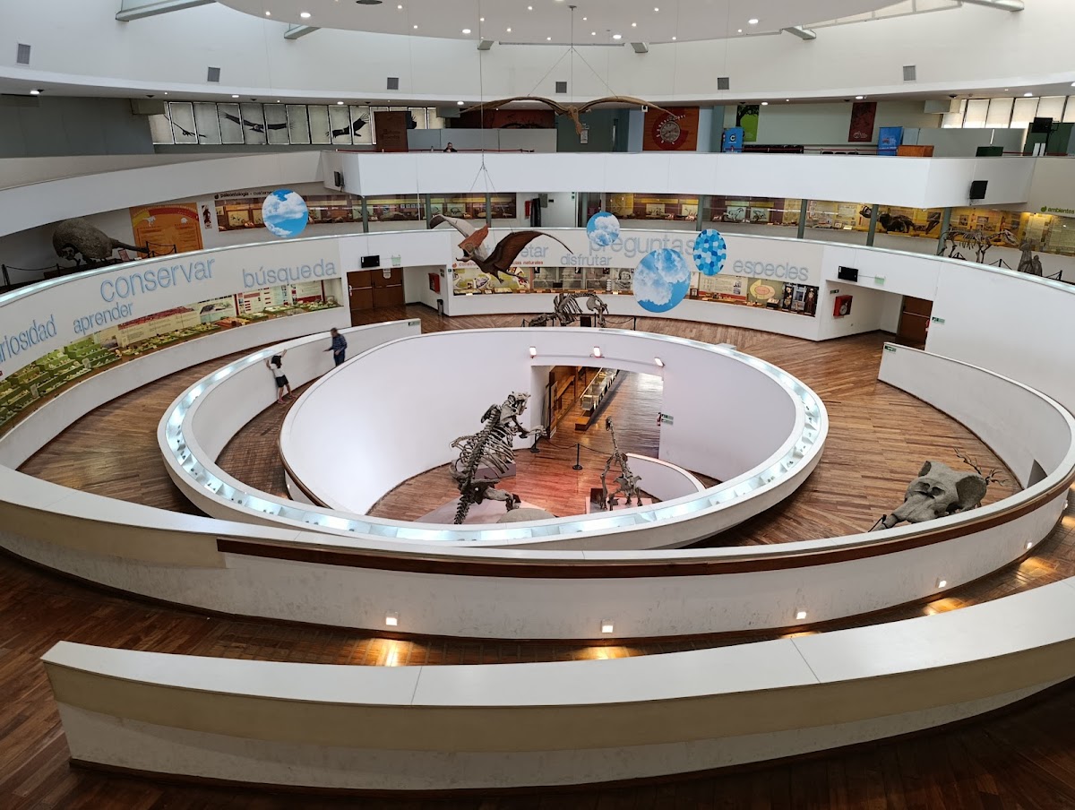Museo Provincial de Ciencias Naturales "Dr. Arturo Umberto Illía"