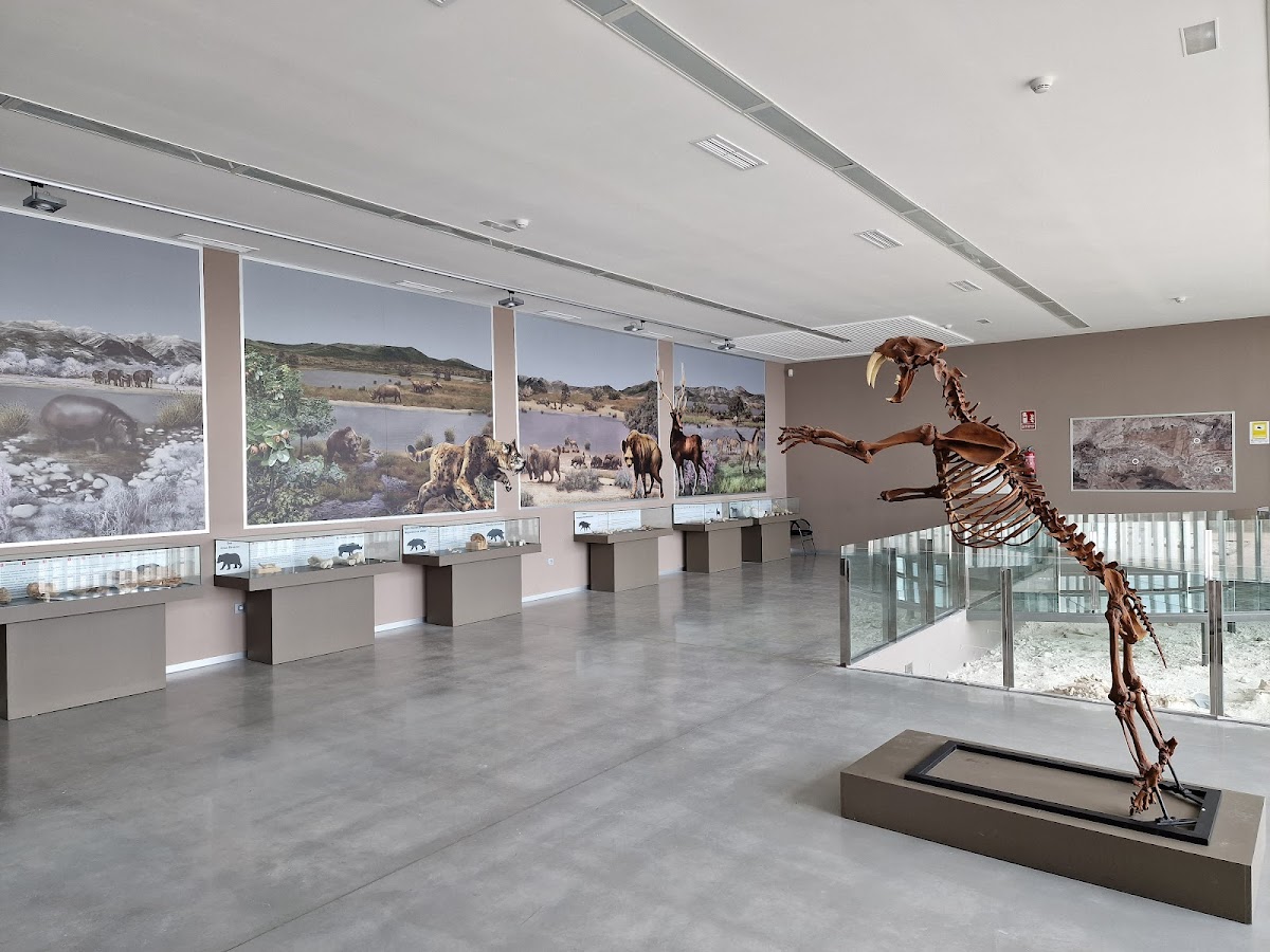 Museo de Prehistoria de Orce