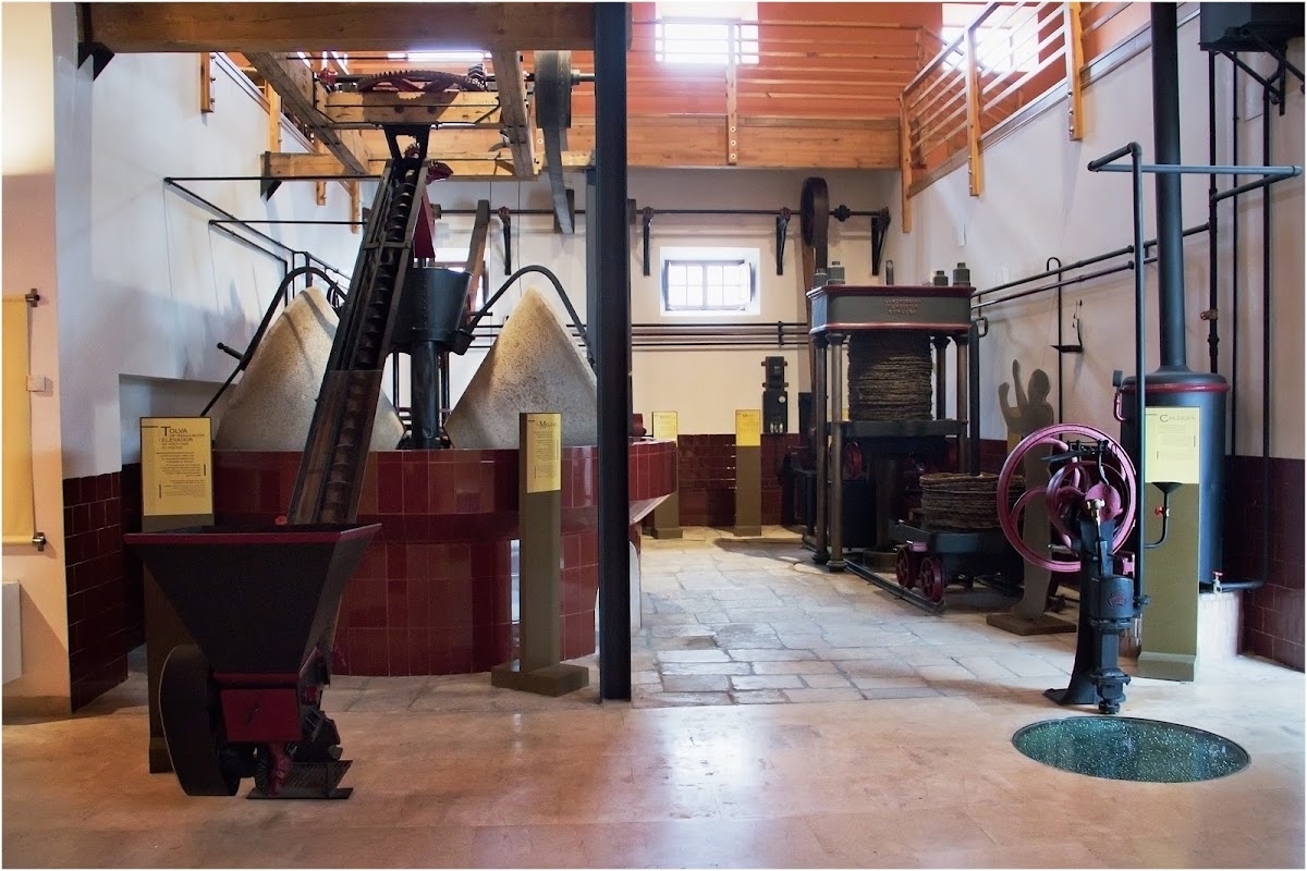Museo del Olivar