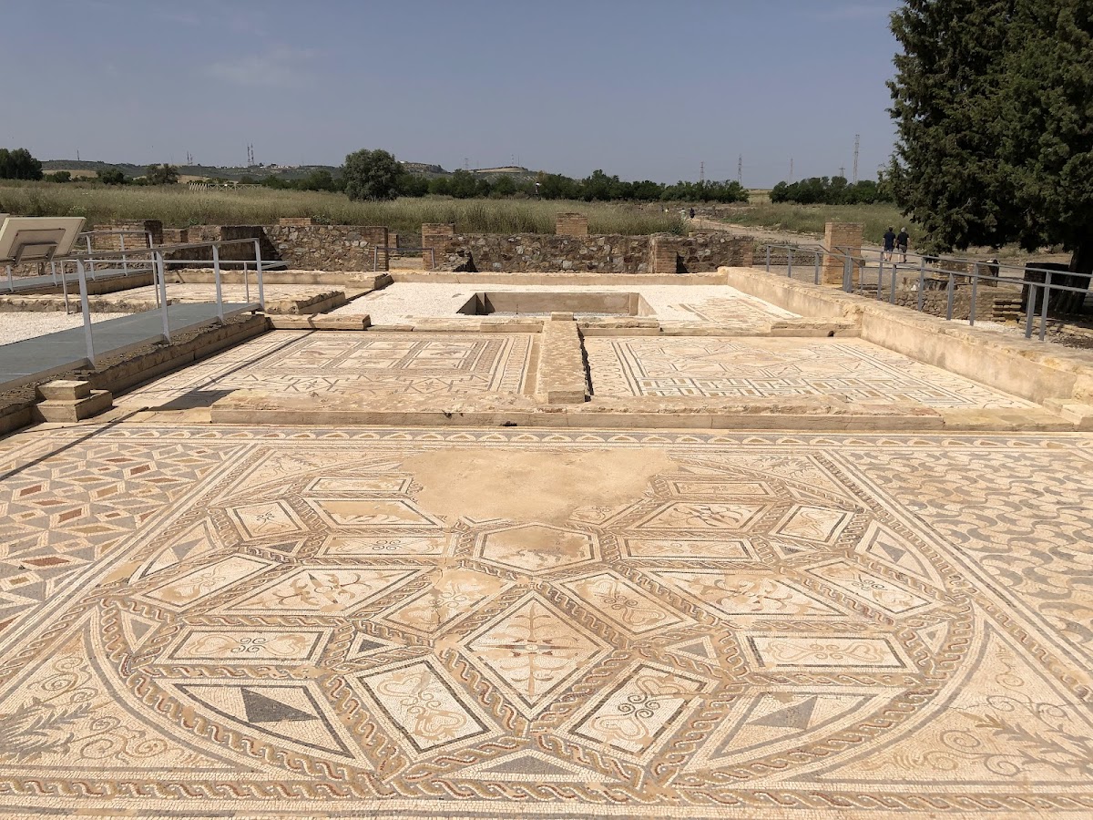 Planetary Mosaic House