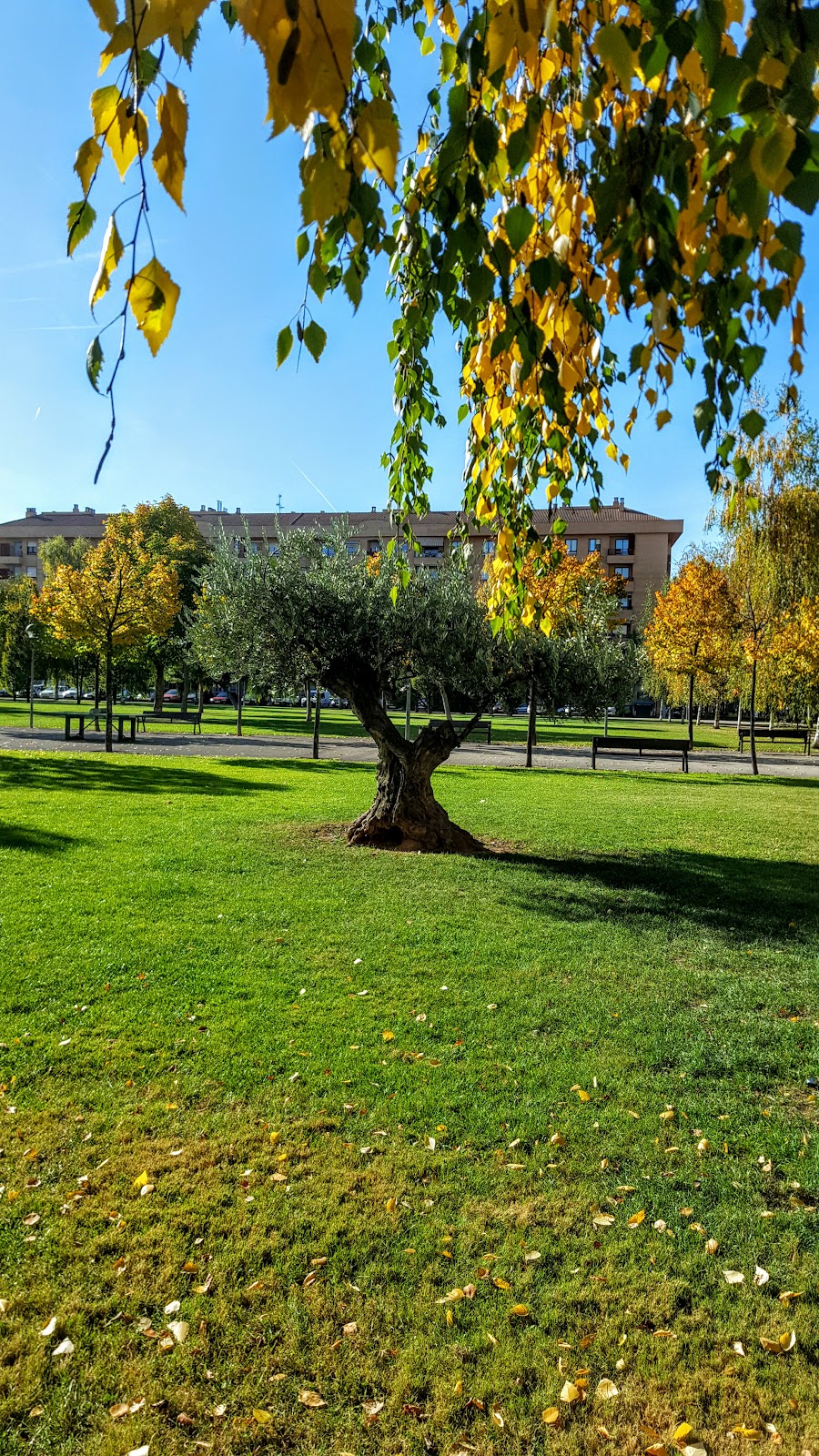 Plaza De La Vendimia