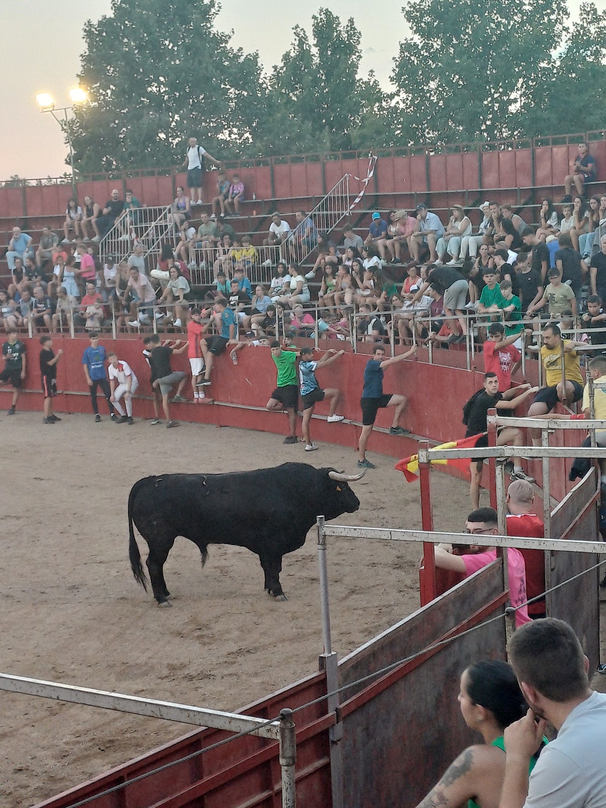 Plaza de Toros de Marchamalo