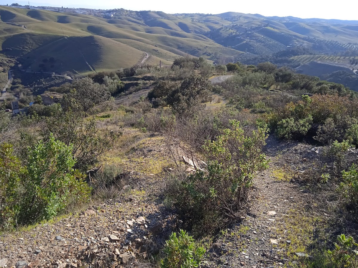 RUTA MINERA EN LA CAROLINA