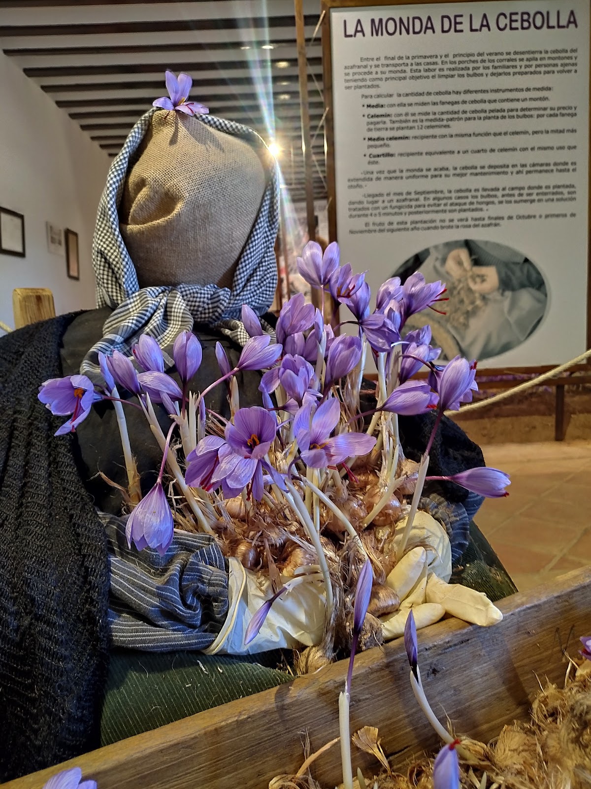 Saffron and Ethnographic Museum