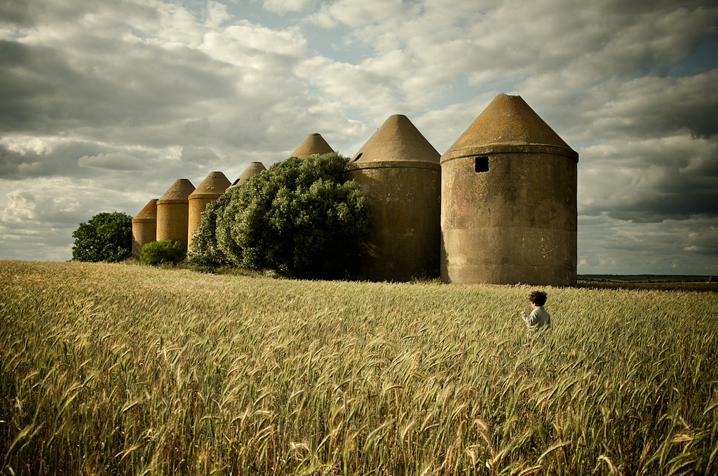 Silos de Trigueros