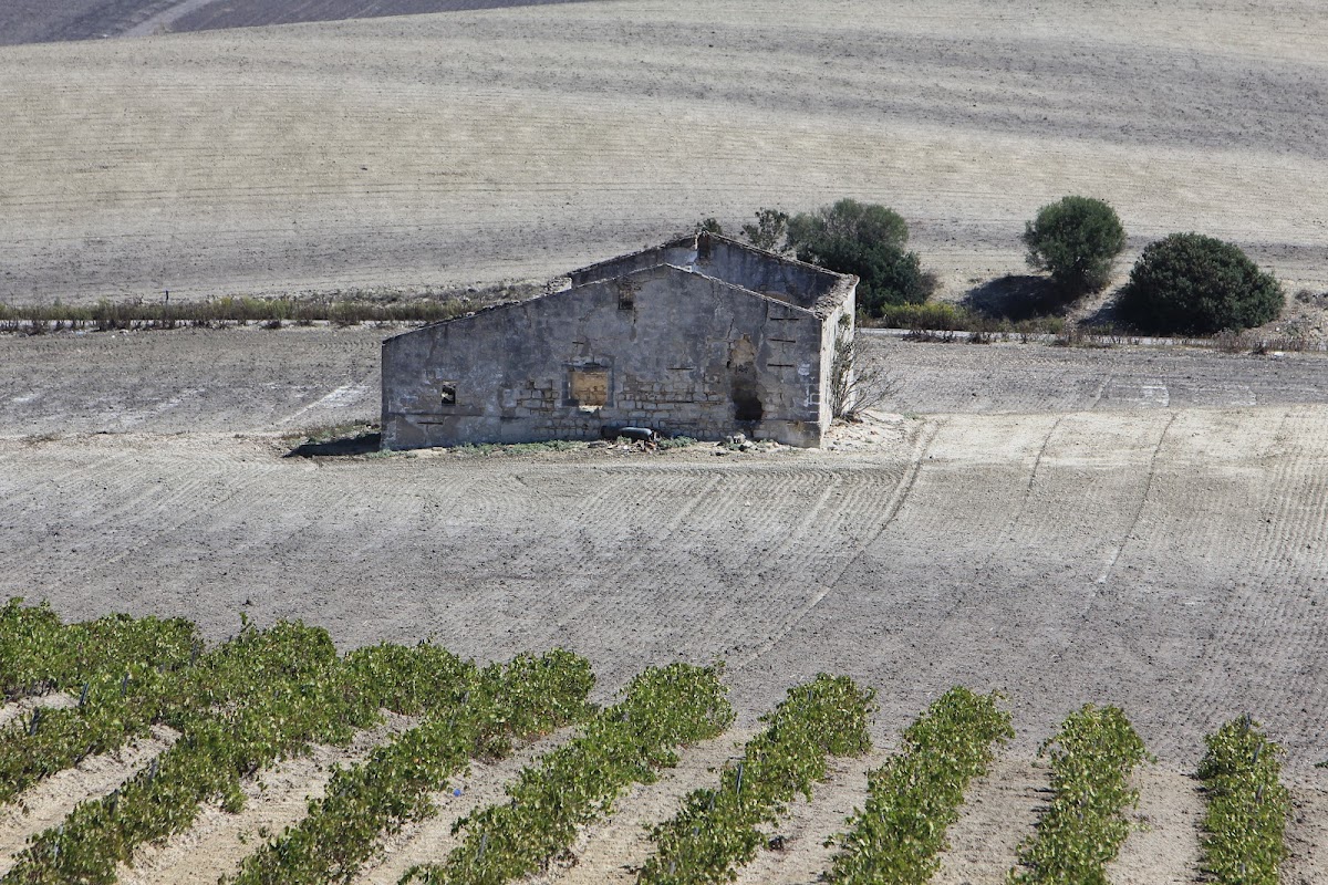 Viña La Canariera