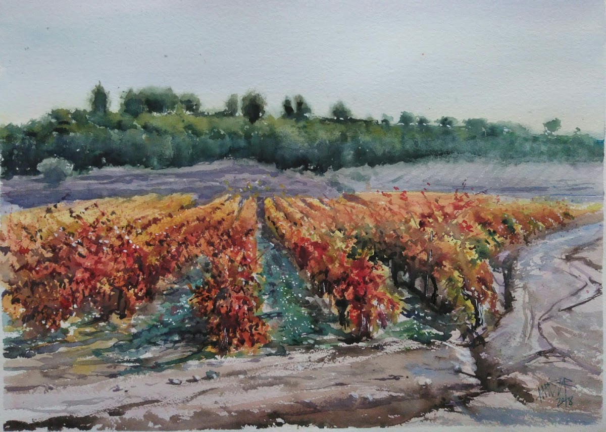 Vino y Color