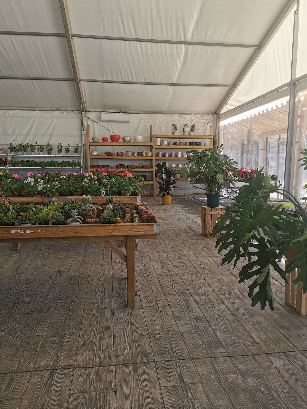 Vivero Fresh Garden Toledo