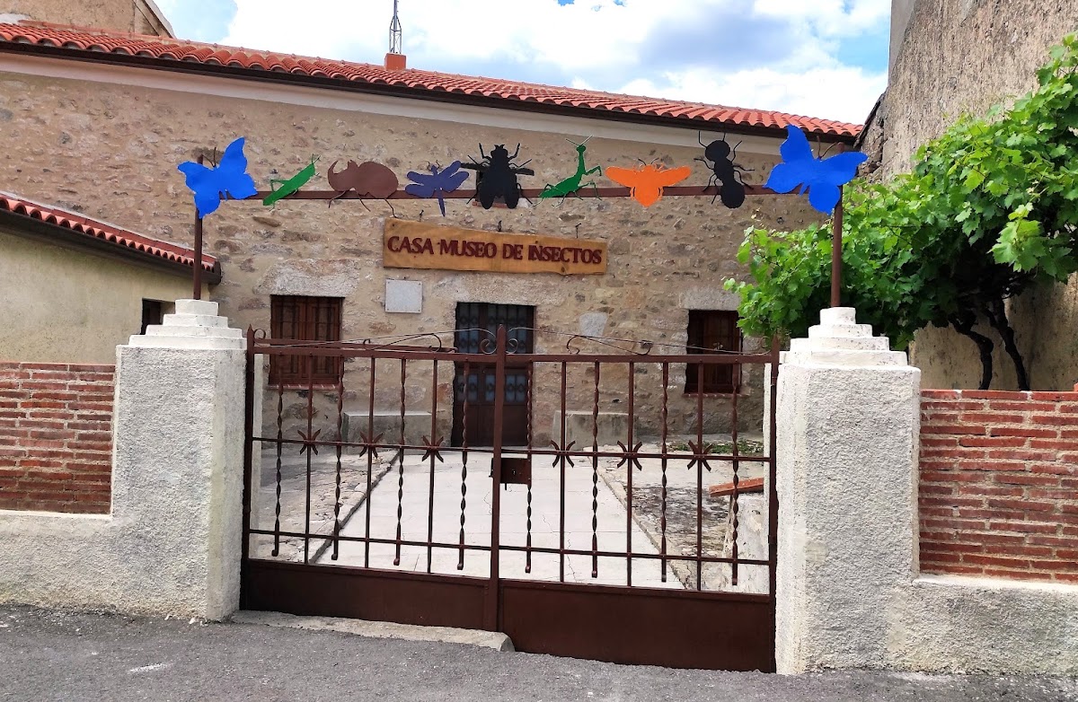 Casa Museo de Insectos - (Cita Previa) Entrada con donación o ayuda para el museo.Grupos máximo 20 personas. Visita guiada.