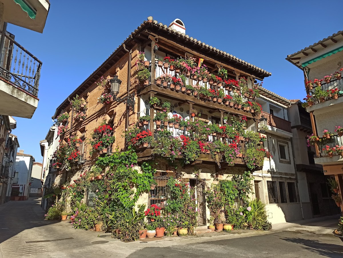 Casa de las Flores. Museo del Juguete de Hojalata. Visita al Casco Antiguo con audioguías.