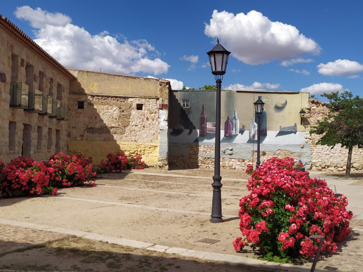 Explora Zamora Free Tour en Zamora y Visitas Guiadas