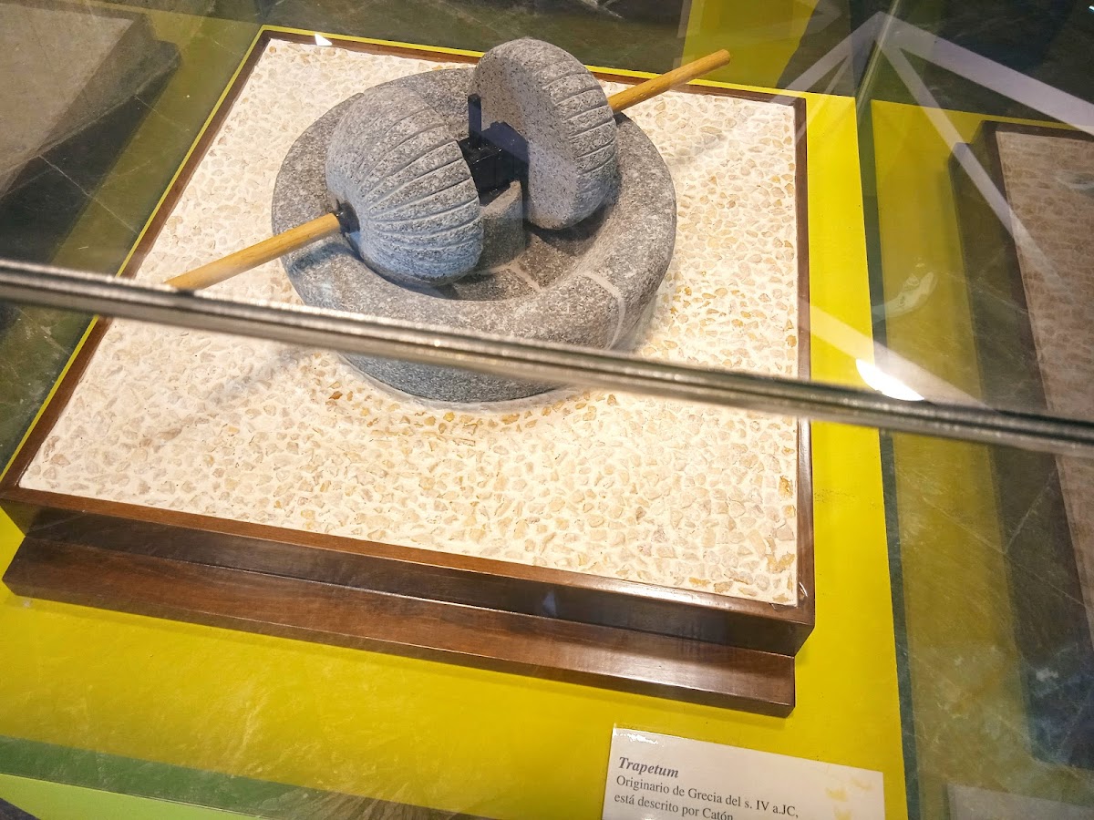 FPCO Museo del Aceite "Felipe Vegue"
