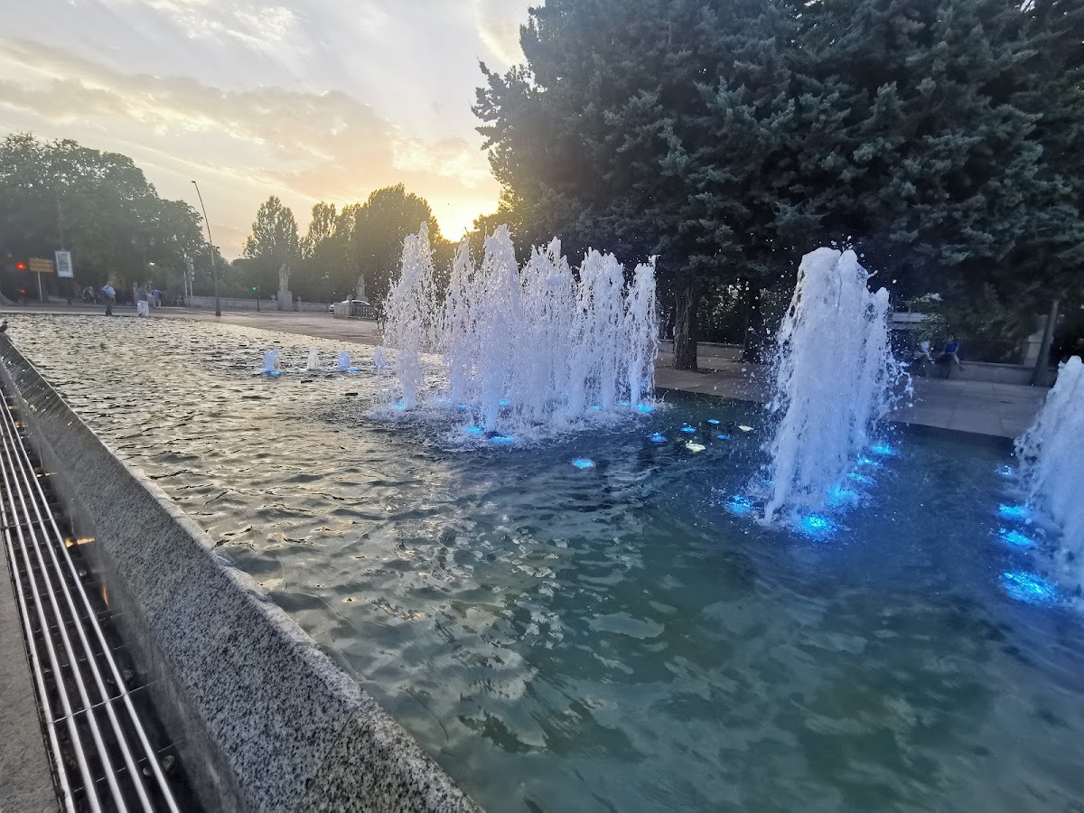 Fuente de la Evolución