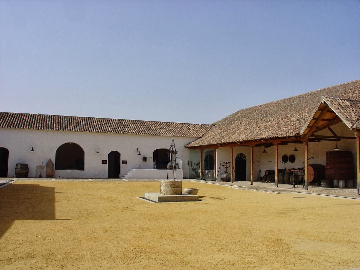 Fundación Museo del Vino de Valdepeñas