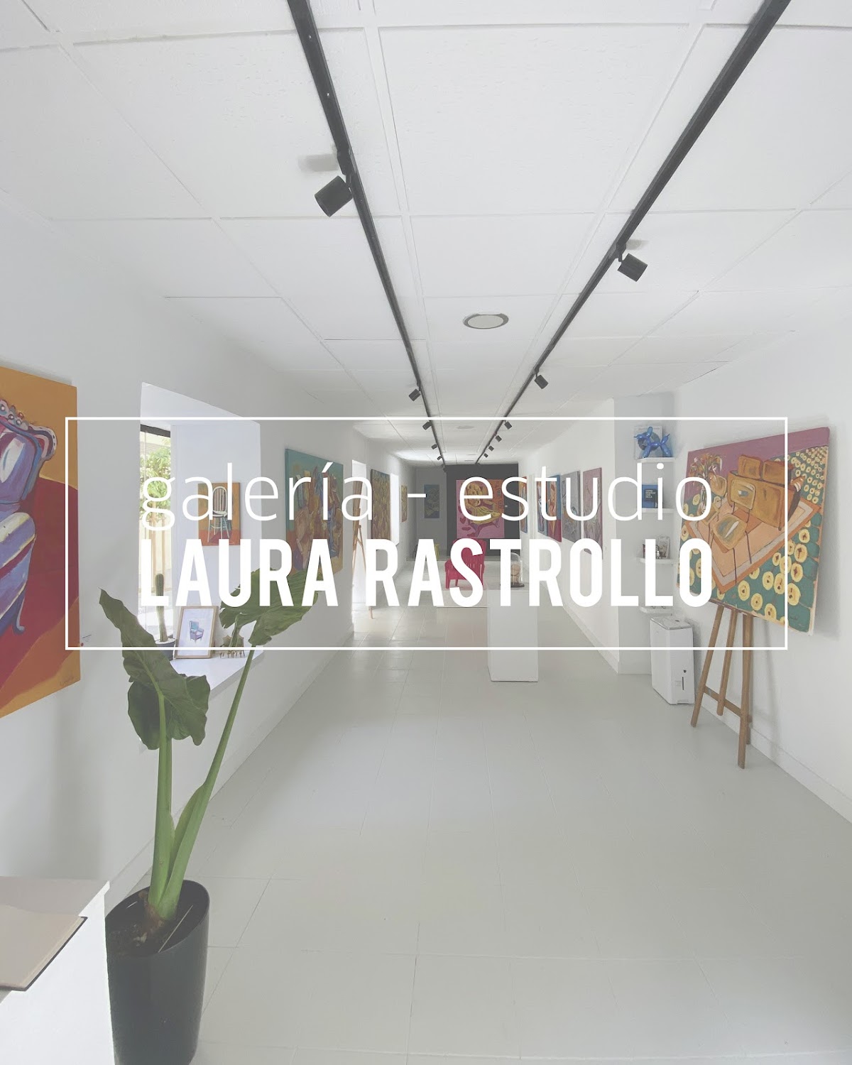 Galería Estudio Laura Rastrollo Lausilla