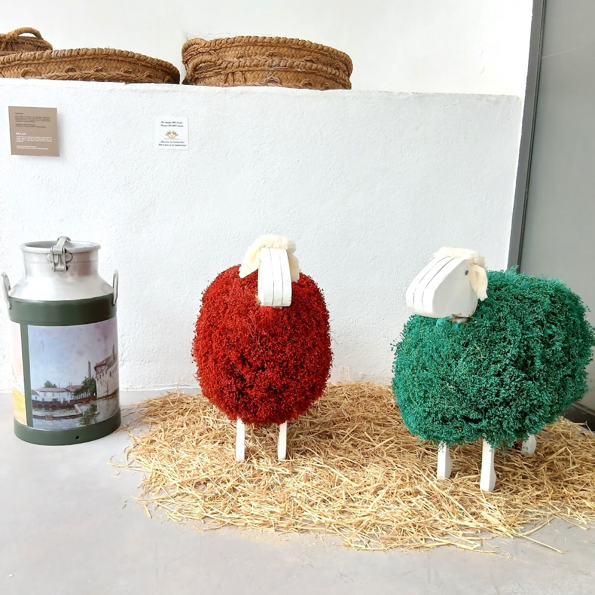 Manchego Cheese Museum and Art Collection