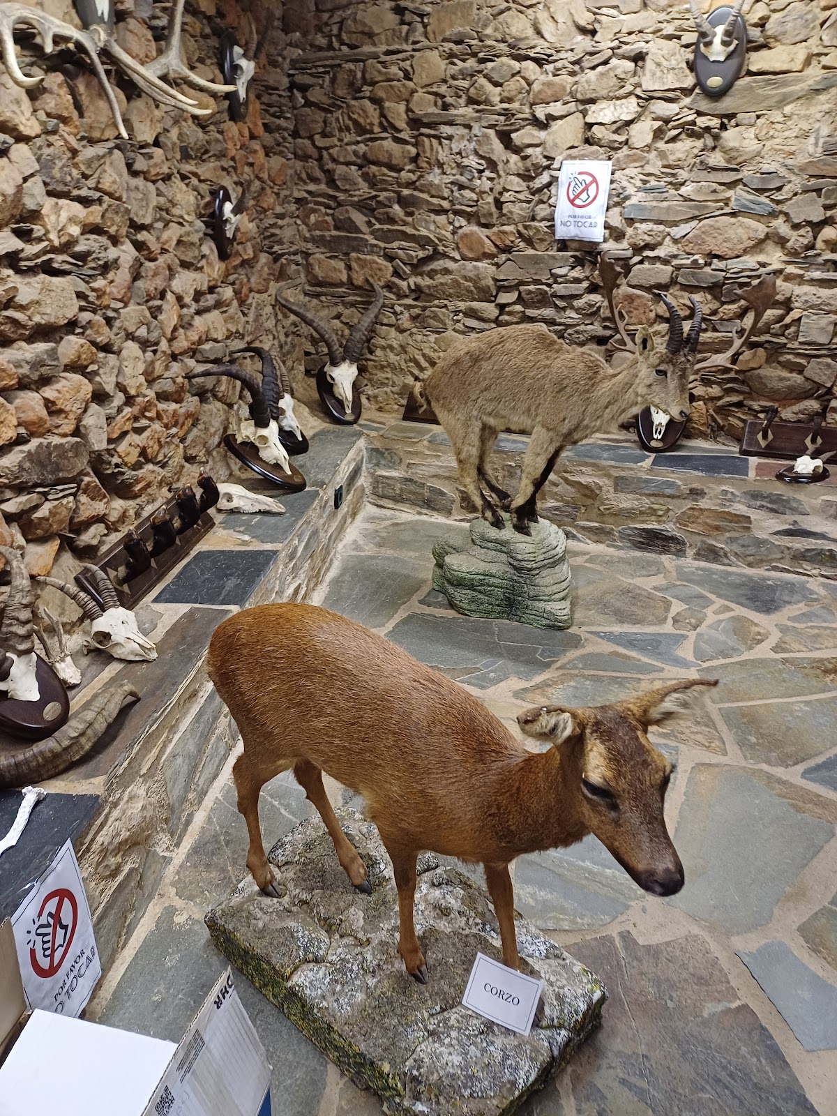 Museo Cinegético de las Batuecas y Etnográfico.