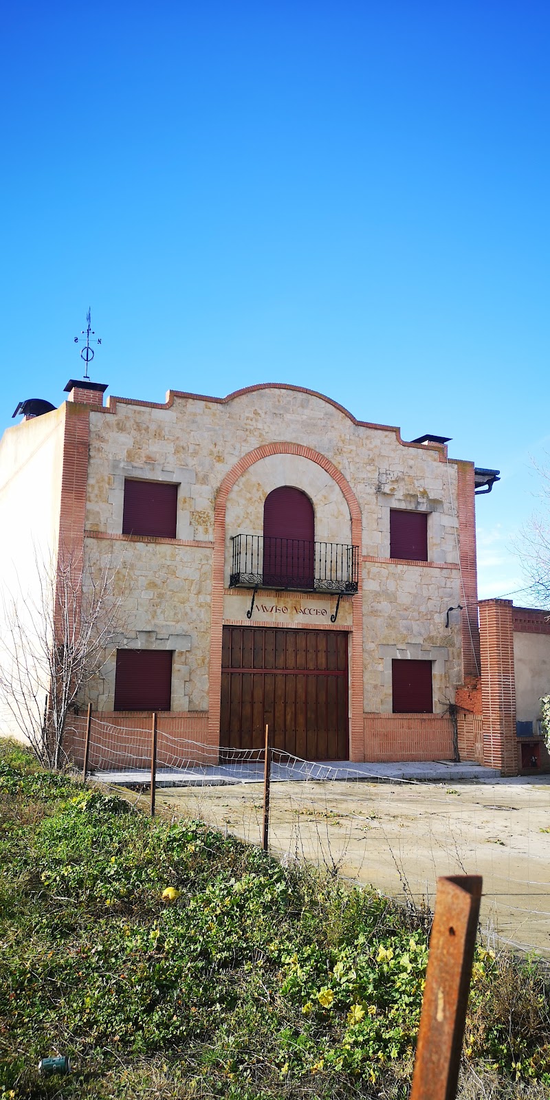 Museo Vacceo