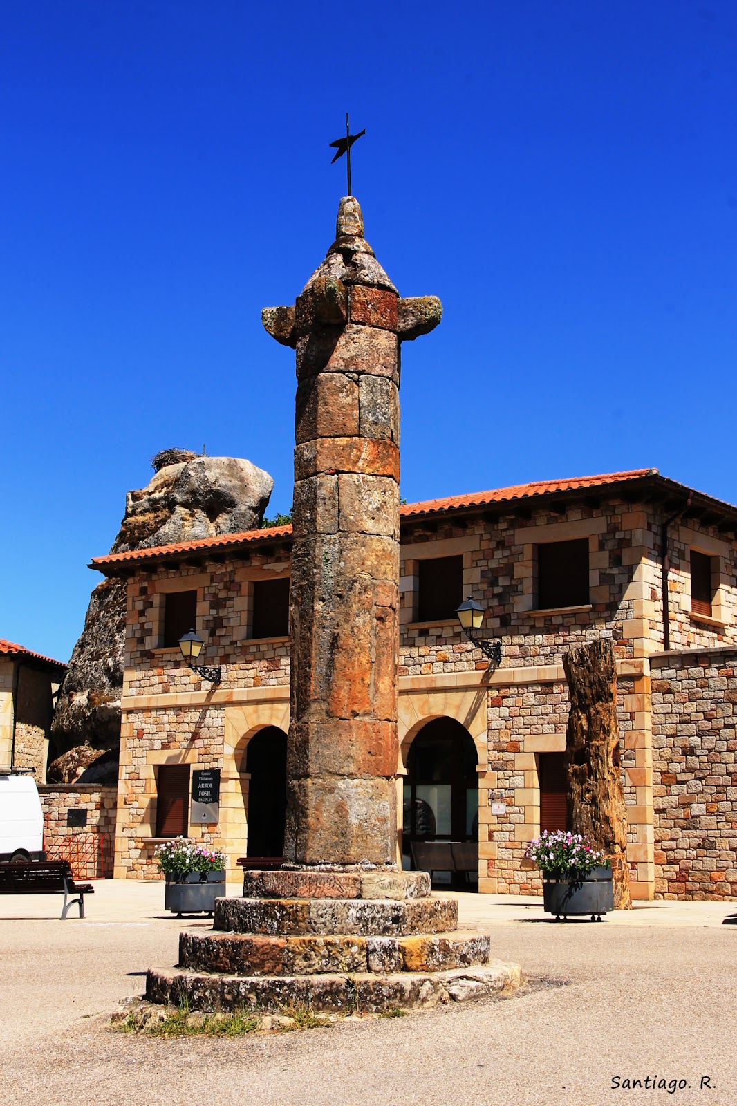Museo del Árbol Fósil