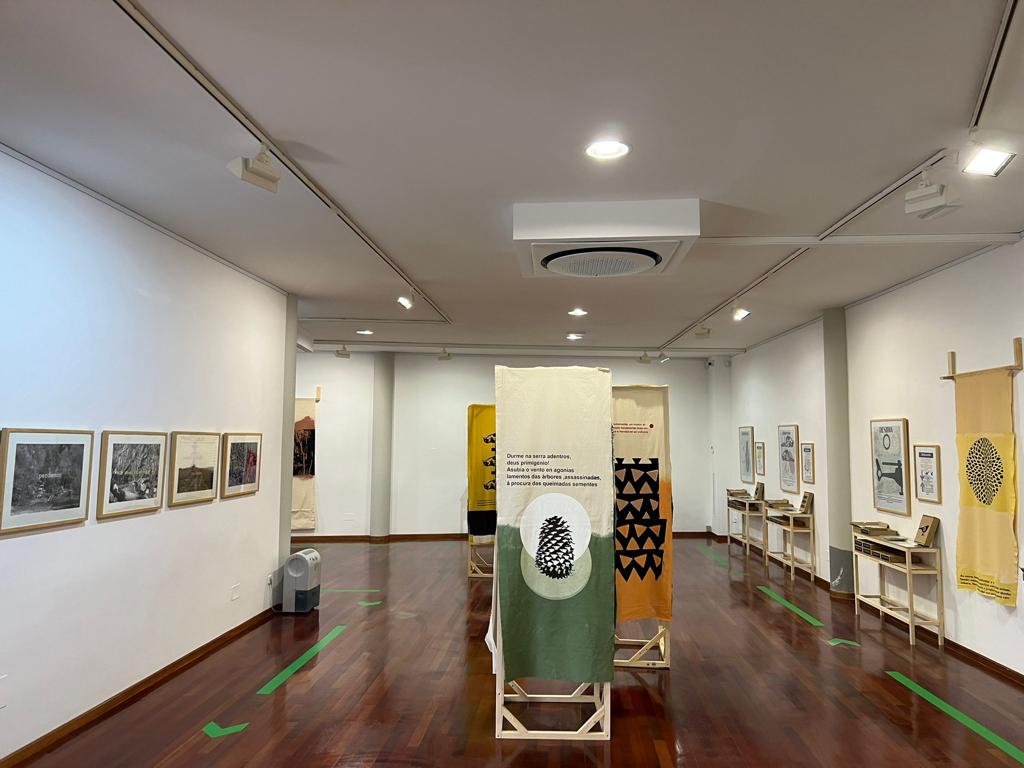 Museo del Grabado