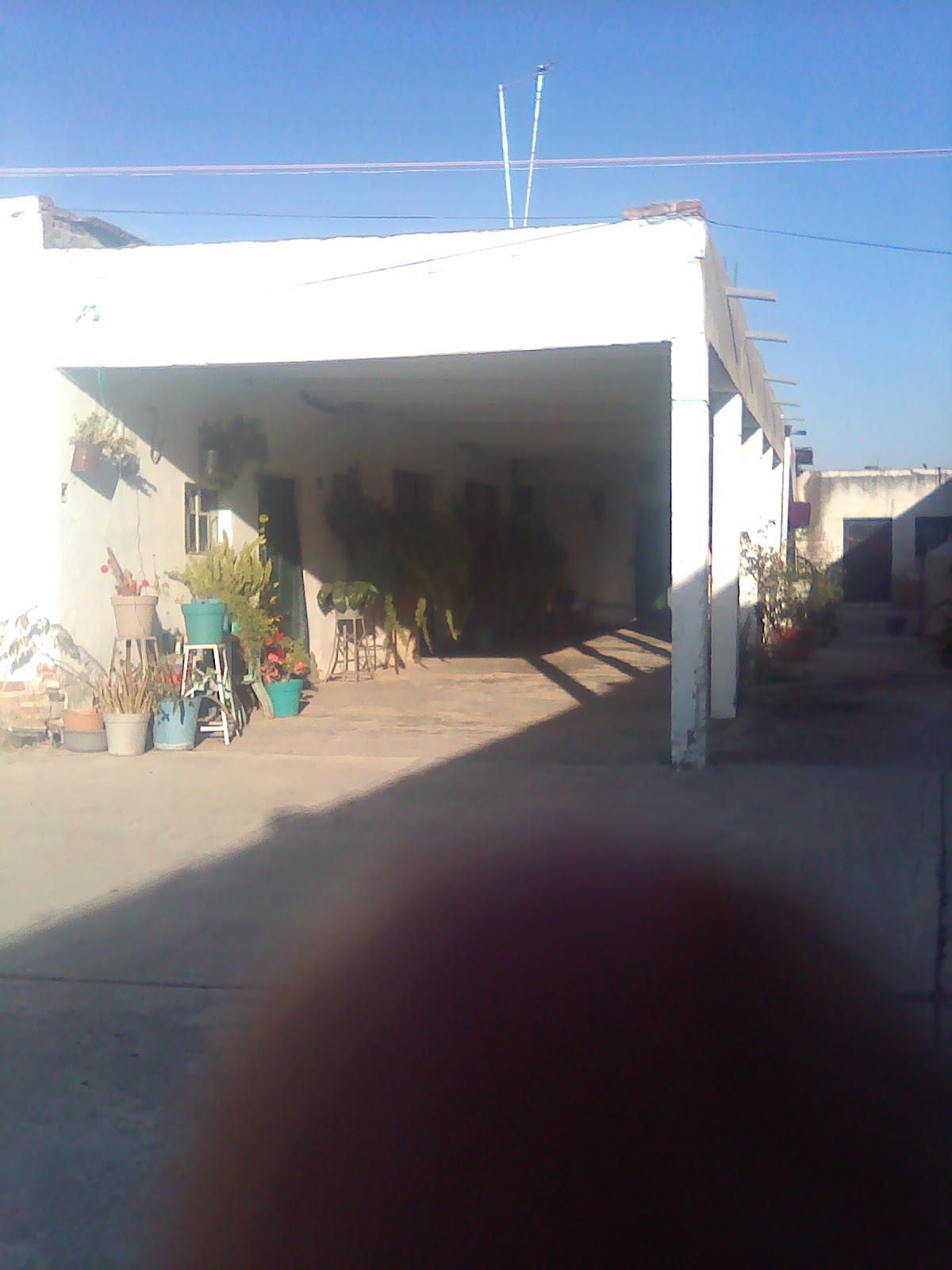 Paseo Grande
