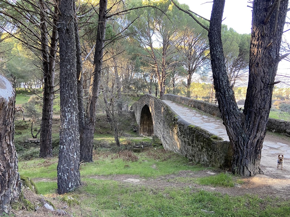 Puente Mosquea