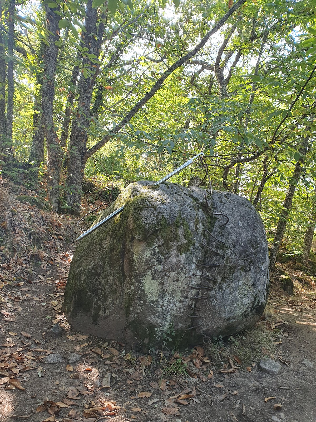 Ruta Bosque de Los Espejos