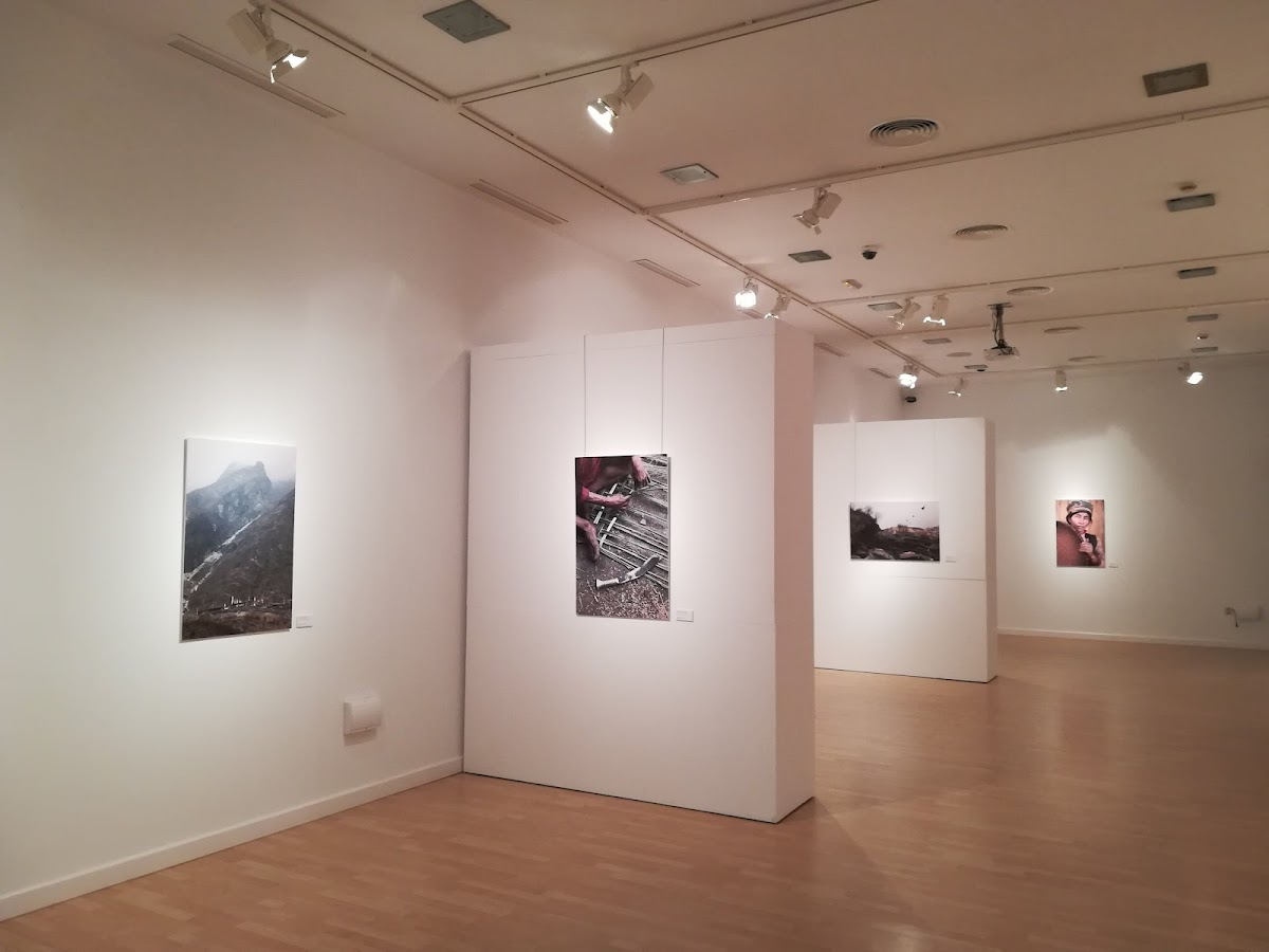 Sala Pintores 10
