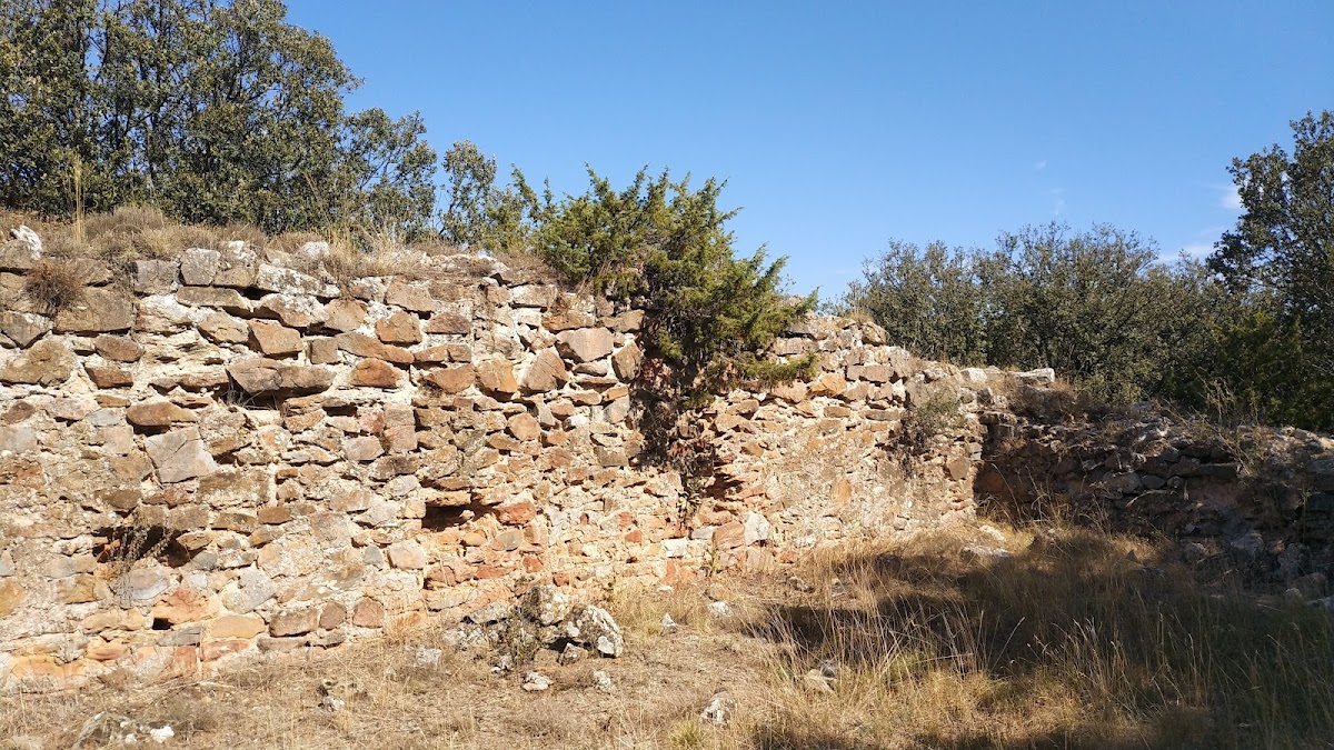 Torreon El Castillazo (Ruinas)