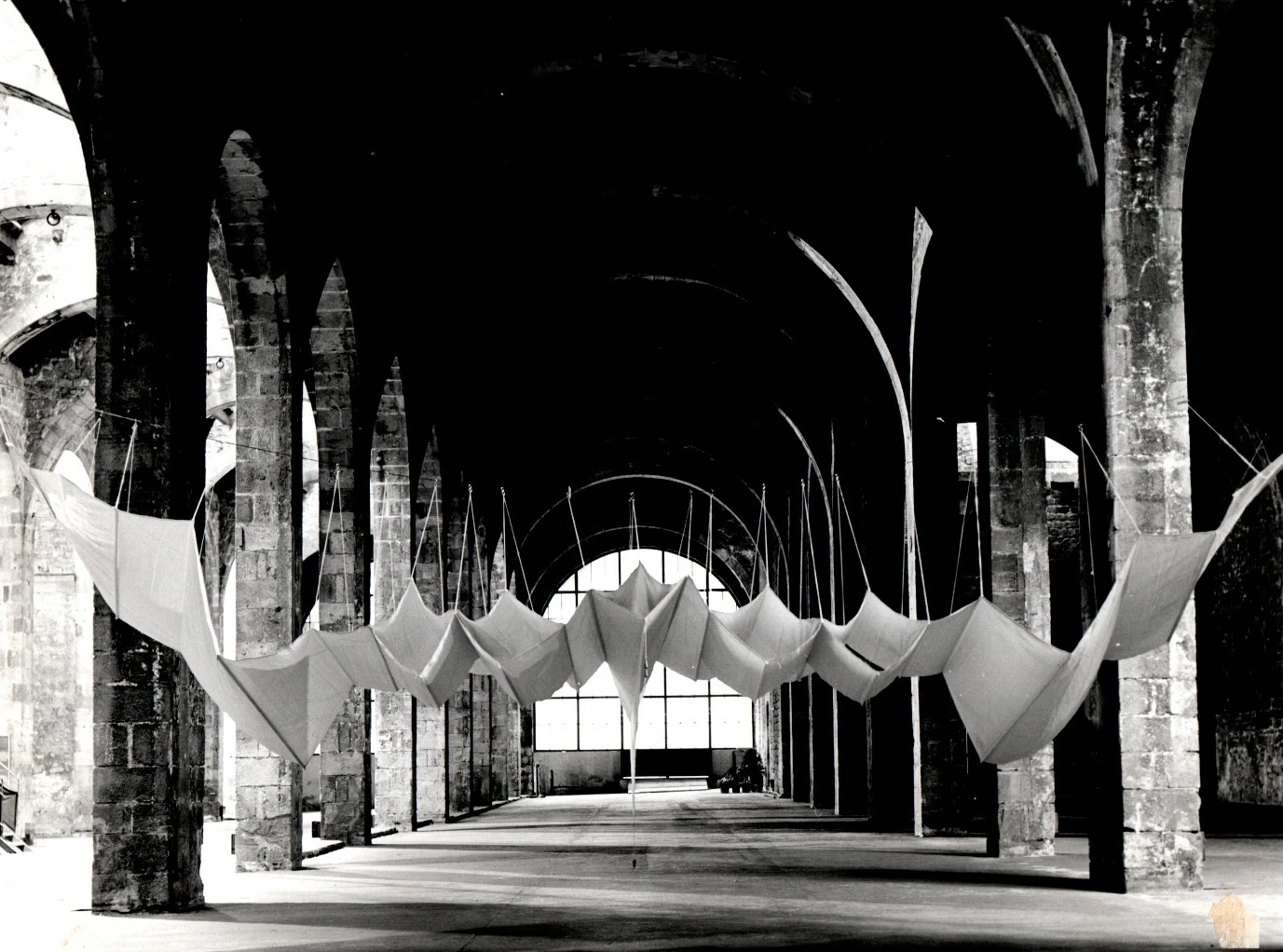 Aurèlia Muñoz: Entes