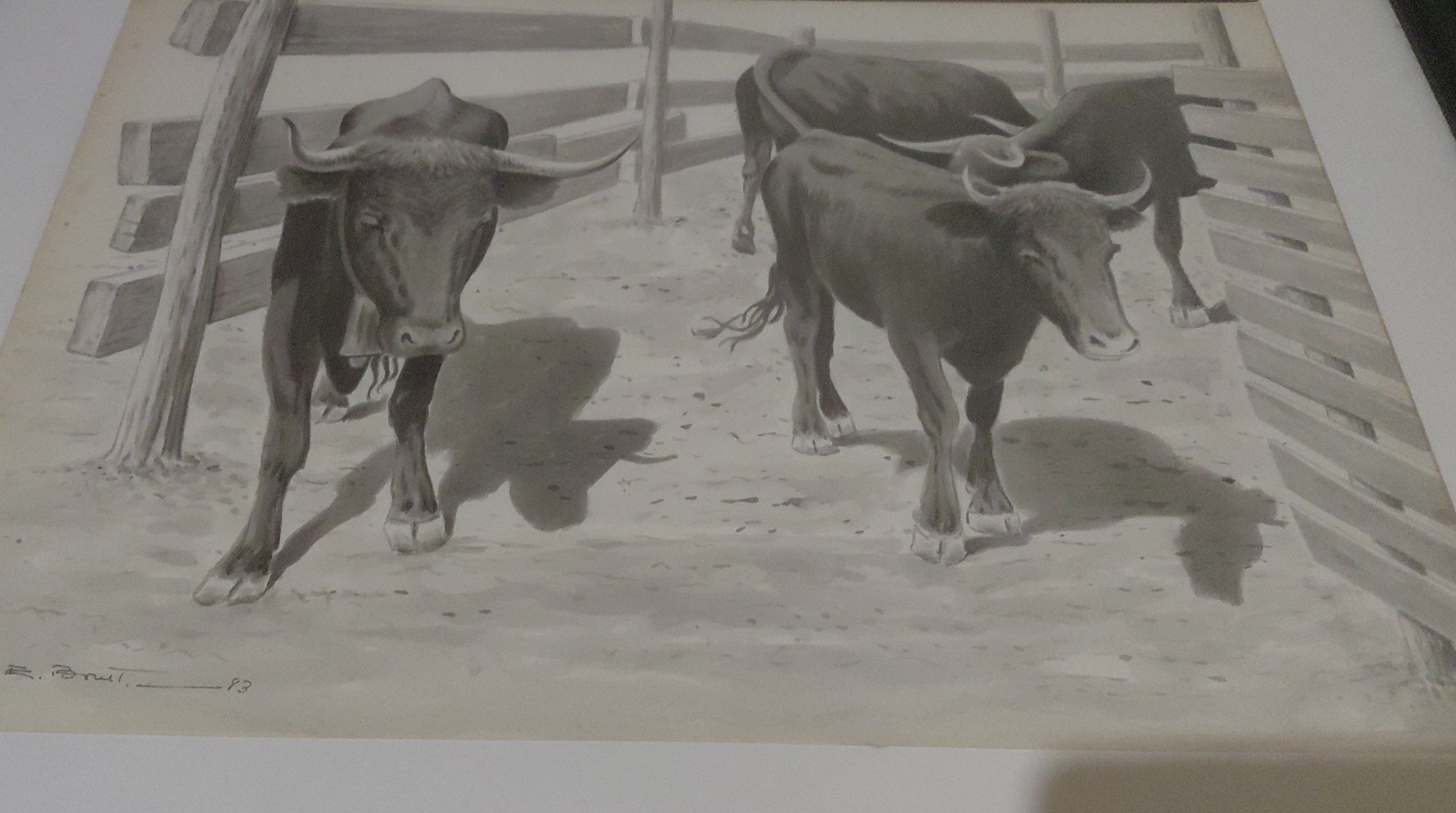 Ganadería toros