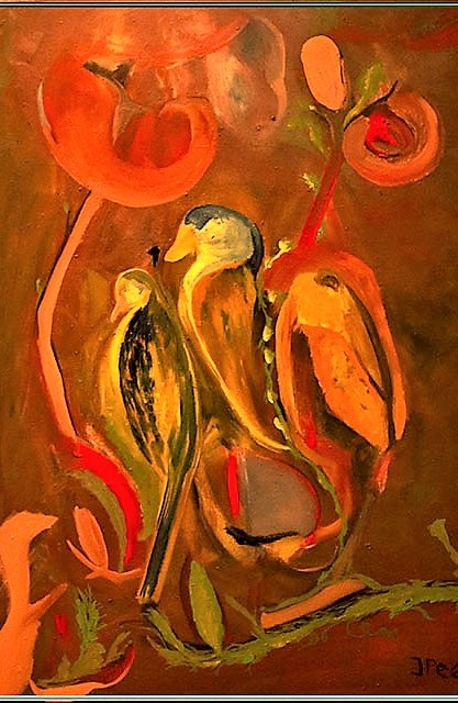 Birds Galicia